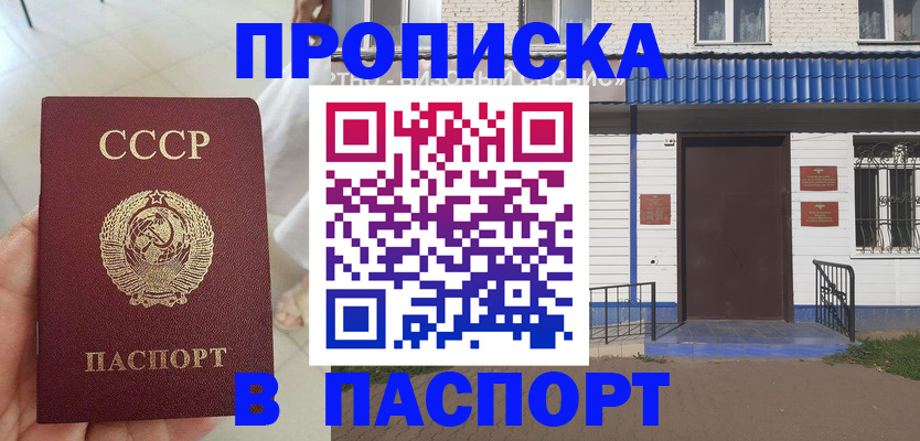 прописка для школы в Братске